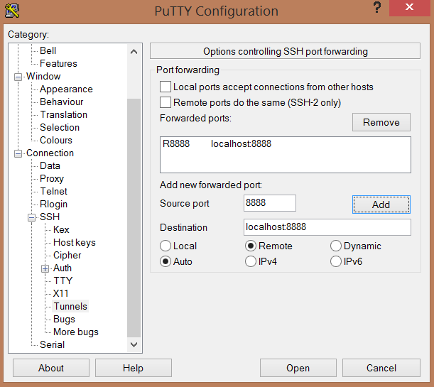 PuTTY configuration choices