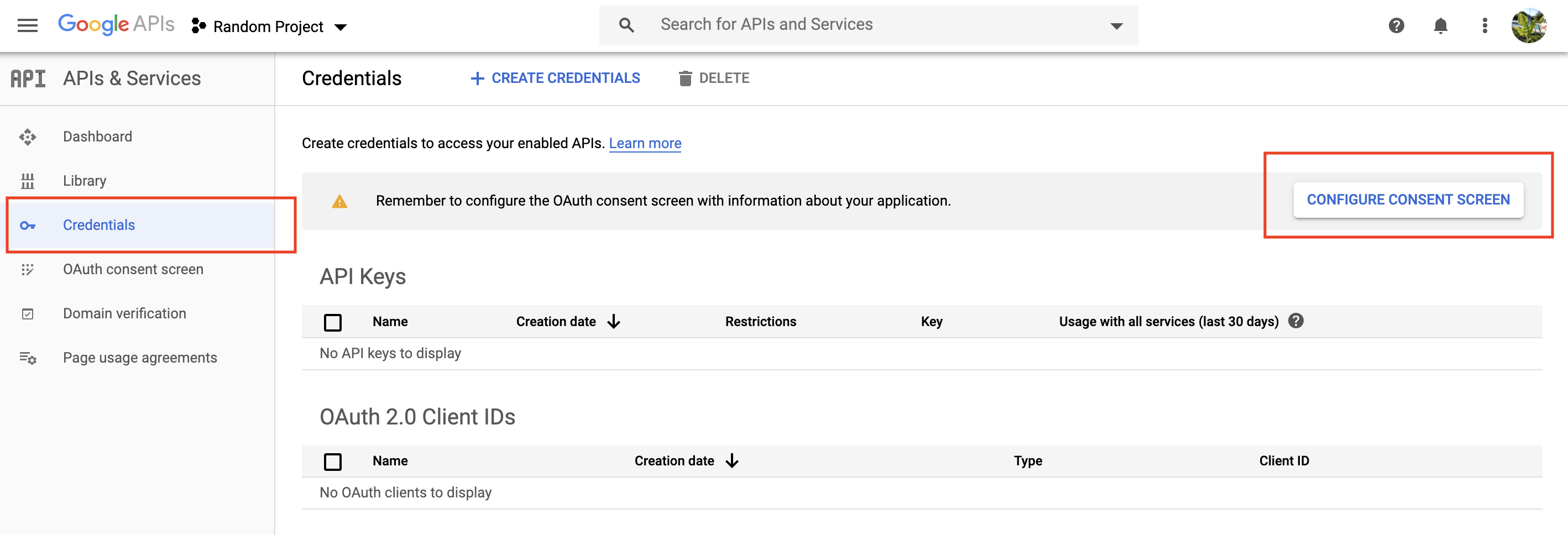 Google APIs Consent