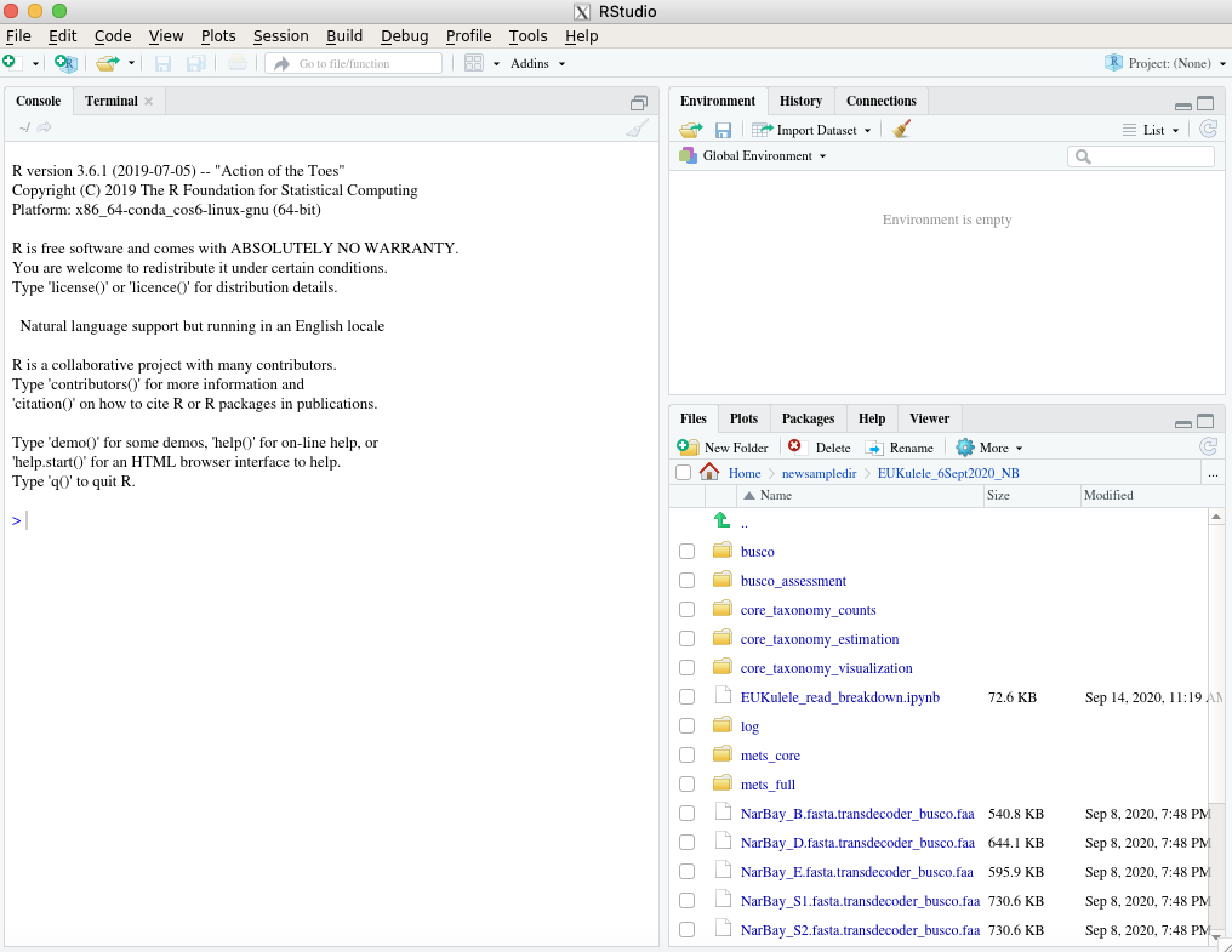 RStudio Window in XQuartz